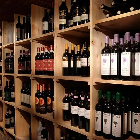 阿勒克德尔酒店餐厅 酒店 Canale dʼAgordo